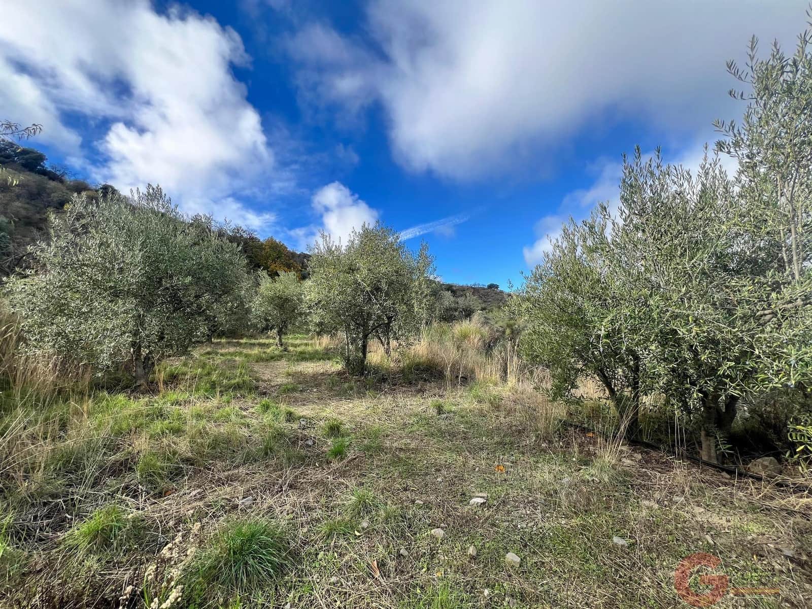 3 bedroom Finca/Country House for sale in Guajar Fondon - € 85,000 (Ref: 9287357)