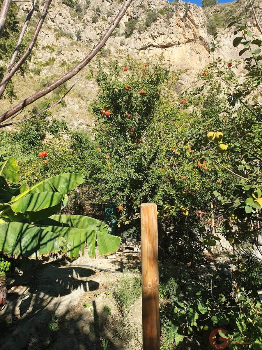 Tontti myytävänä paikassa Velez de Benaudalla - 76 000 € (Ref: 9347064)