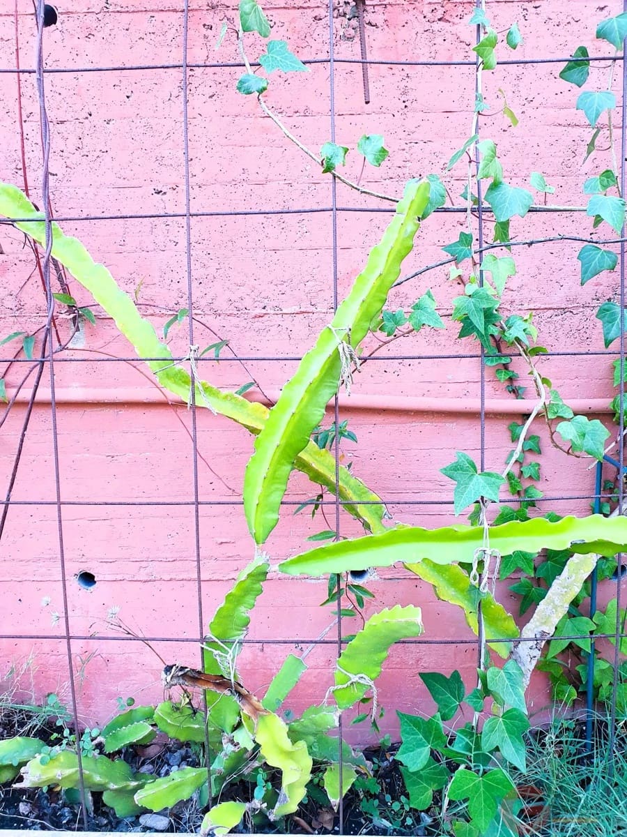 3 chambre Villa/Maison à vendre à Motril avec piscine - 372 000 € (Ref: 9422127)