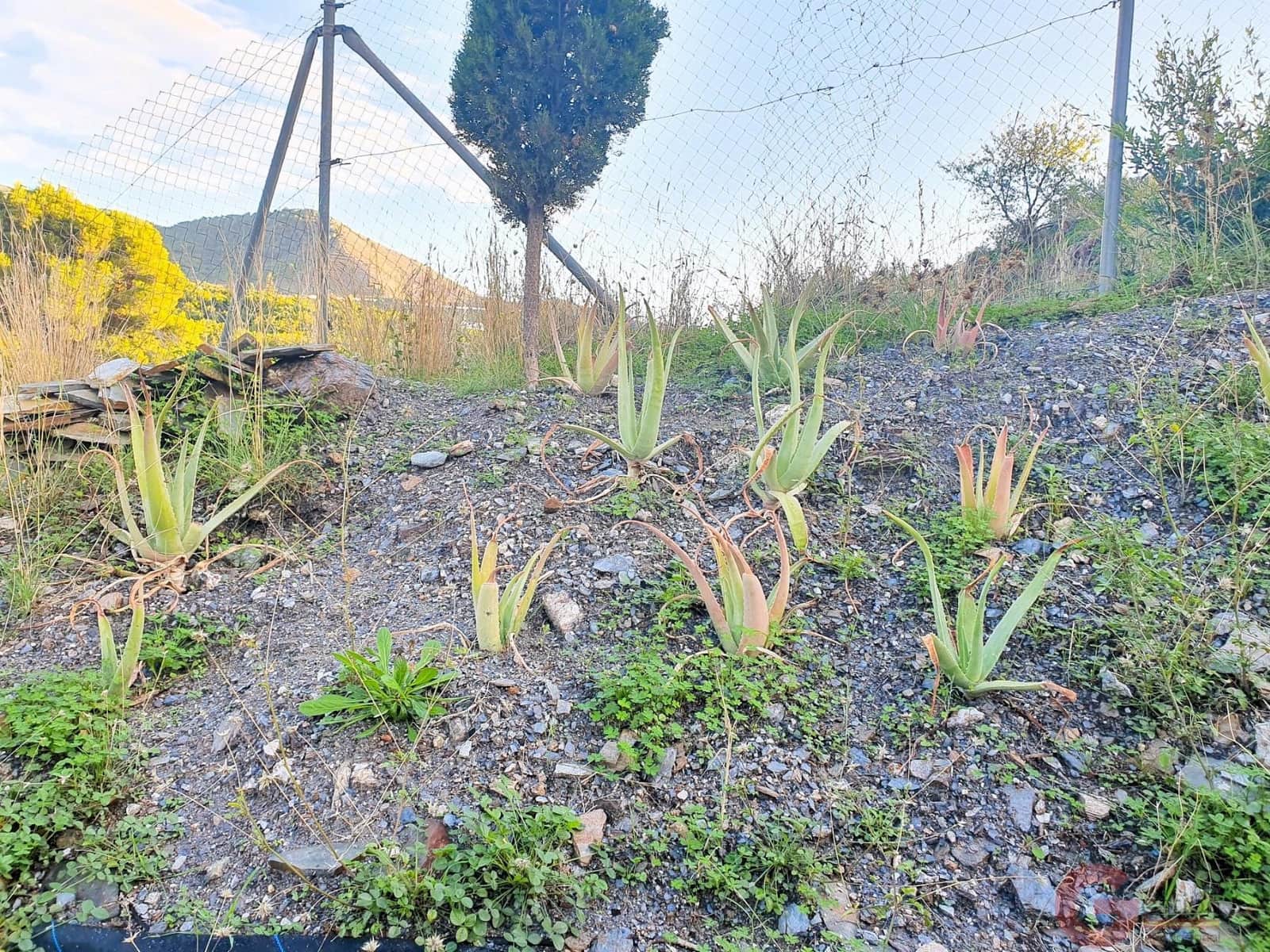 3 chambre Villa/Maison à vendre à Motril avec piscine - 372 000 € (Ref: 9422127)