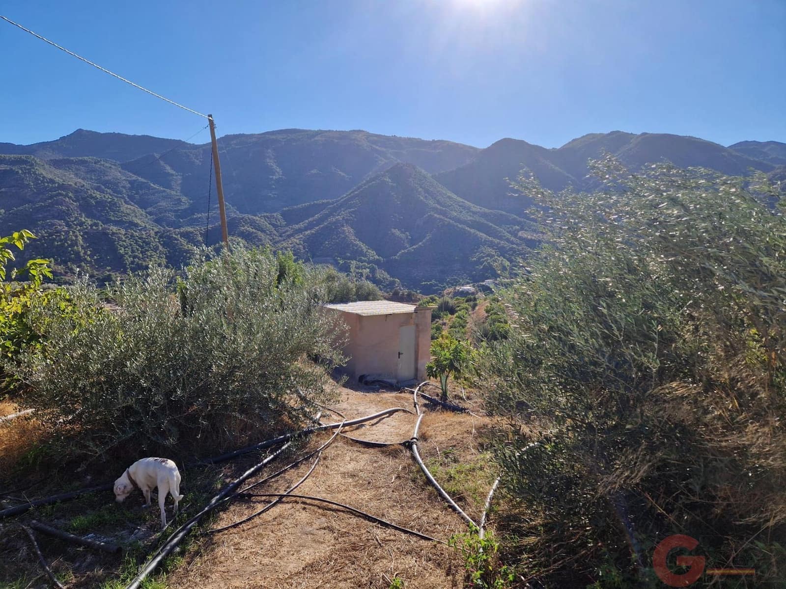 3 soverom Finca/Herregård til salgs i Guajar Faraguit med svømmebasseng - € 300 000 (Ref: 9426649)