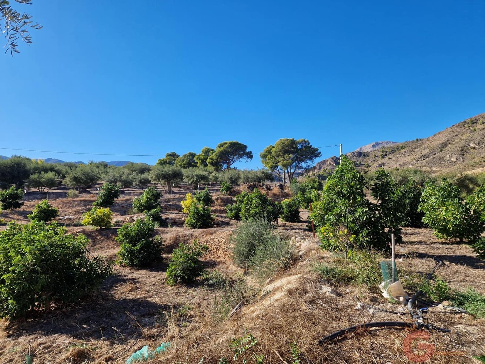 3 soverom Finca/Herregård til salgs i Guajar Faraguit med svømmebasseng - € 300 000 (Ref: 9426649)