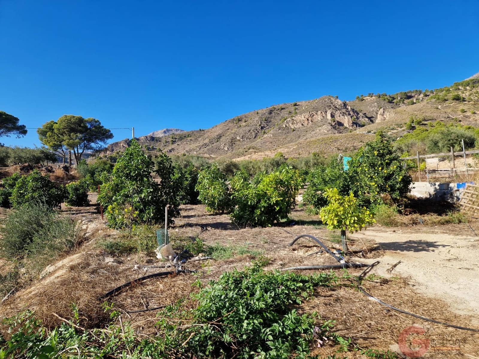 3 soverom Finca/Herregård til salgs i Guajar Faraguit med svømmebasseng - € 300 000 (Ref: 9426649)