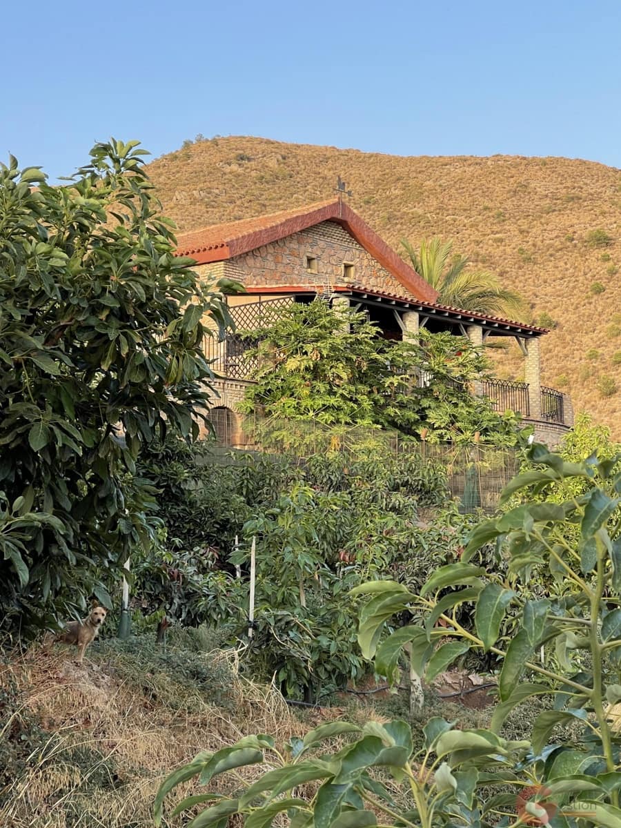 3 chambre Finca/Maison de Campagne à vendre à Lobres avec piscine - 450 000 € (Ref: 9433152)