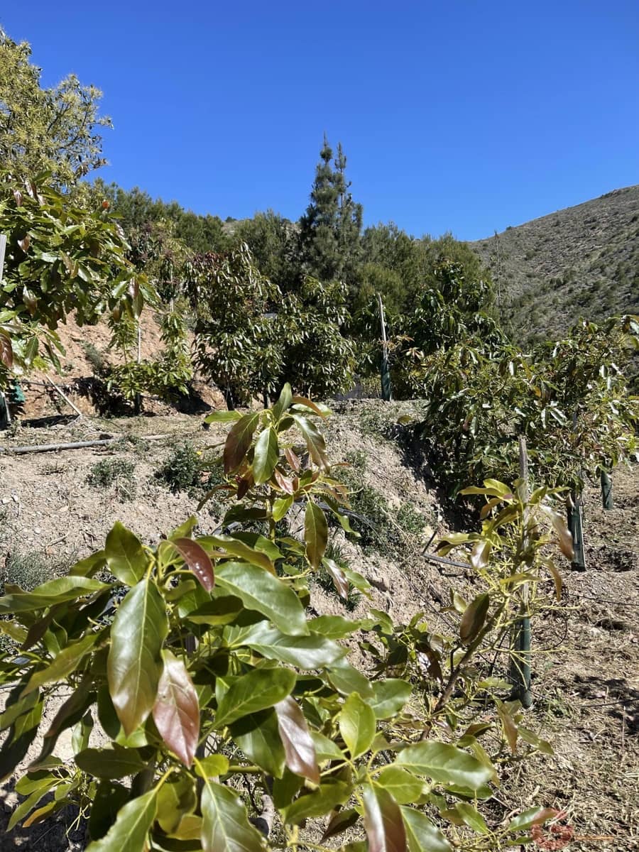 3 chambre Finca/Maison de Campagne à vendre à Lobres avec piscine - 450 000 € (Ref: 9433152)