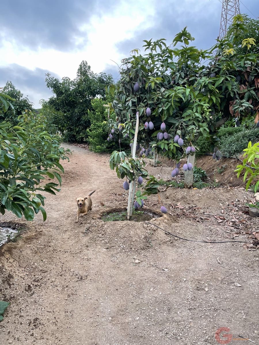 3 chambre Finca/Maison de Campagne à vendre à Lobres avec piscine - 450 000 € (Ref: 9433152)