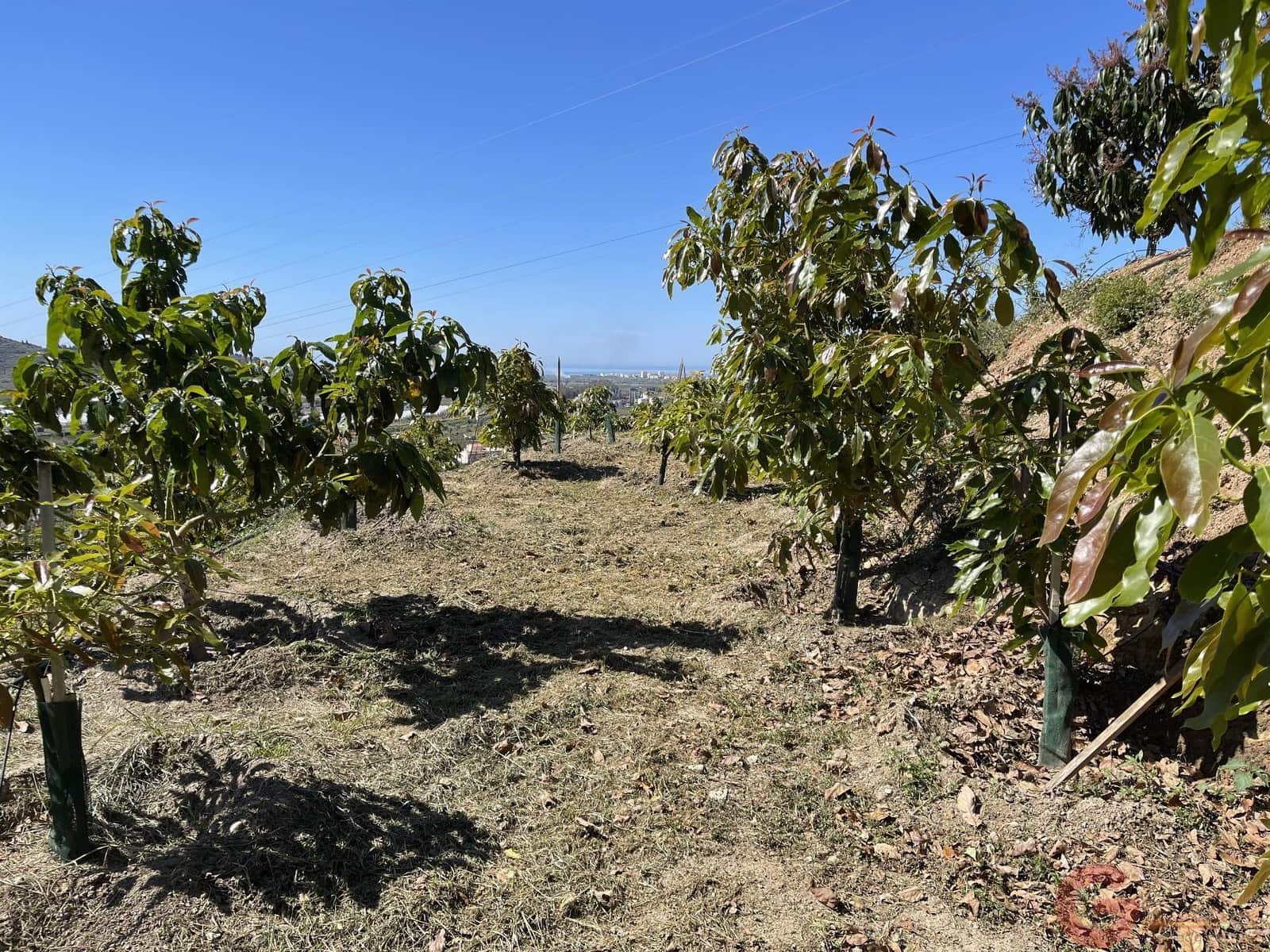 3 chambre Finca/Maison de Campagne à vendre à Lobres avec piscine - 450 000 € (Ref: 9433152)