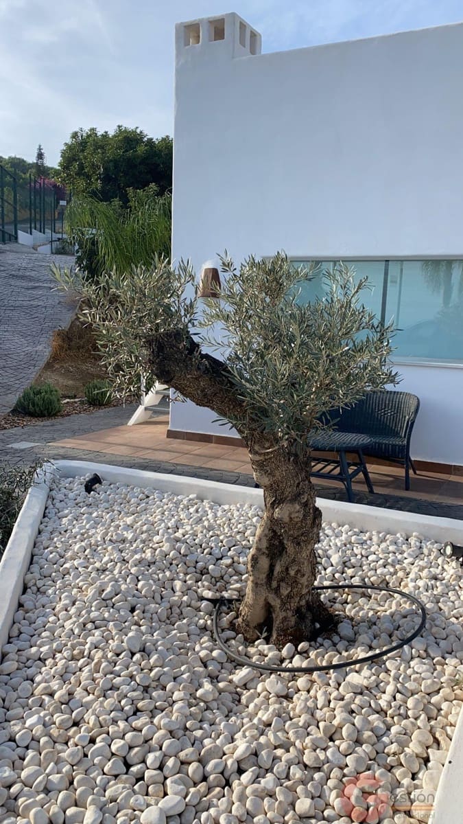 2 soveværelse Finca/Landehus til salg i Salobrena - € 318.000 (Ref: 9433153)