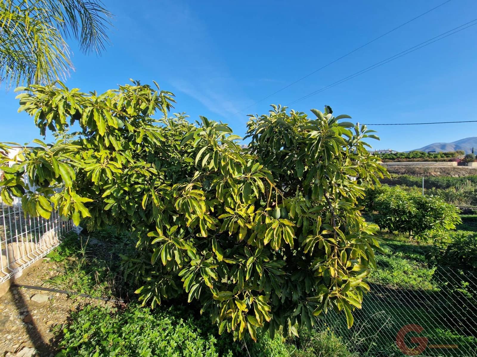 2 soveværelse Finca/Landehus til salg i Salobrena - € 318.000 (Ref: 9433153)