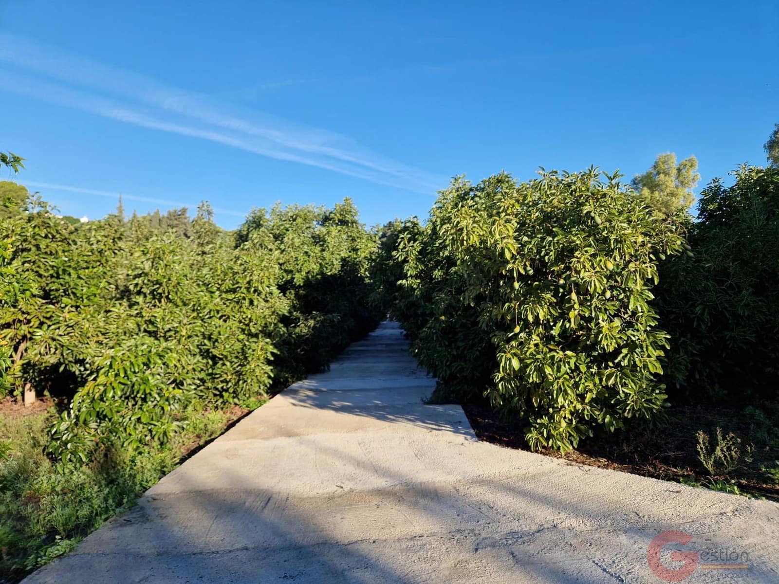 3 soverom Finca/Herregård til salgs i Salobrena - € 992 000 (Ref: 9439846)