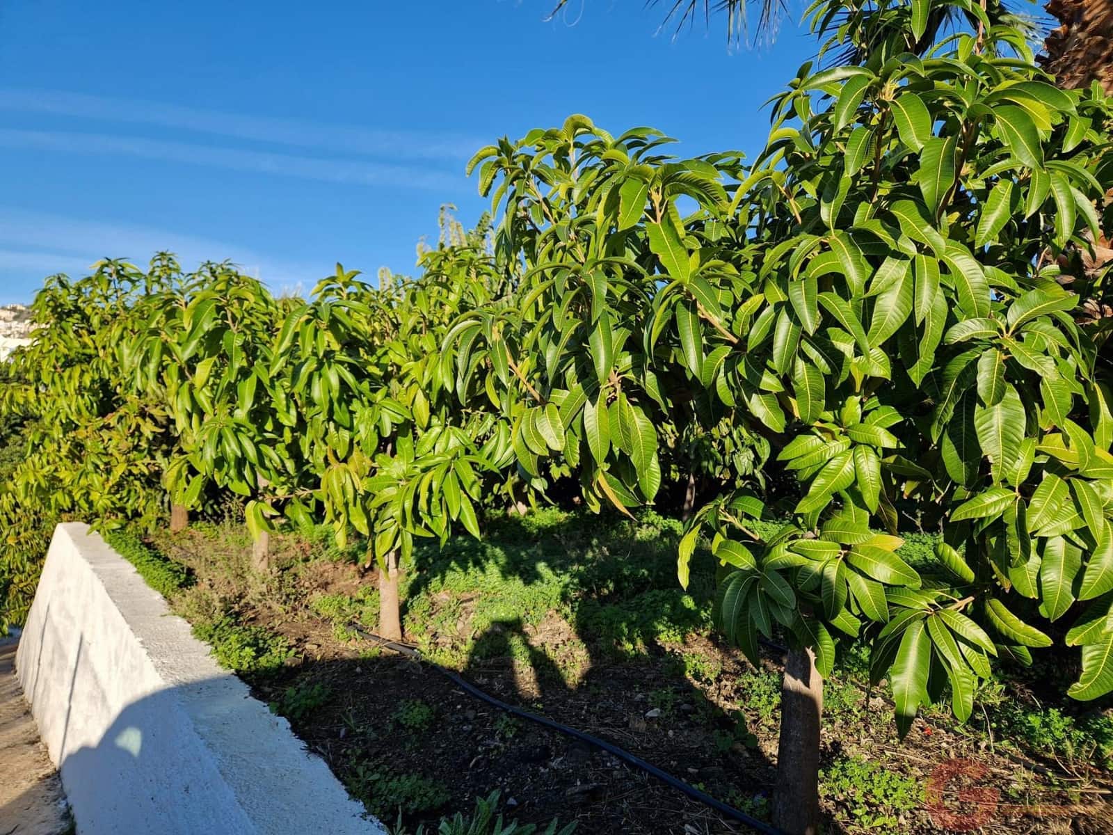 3 soverom Finca/Herregård til salgs i Salobrena - € 992 000 (Ref: 9439846)