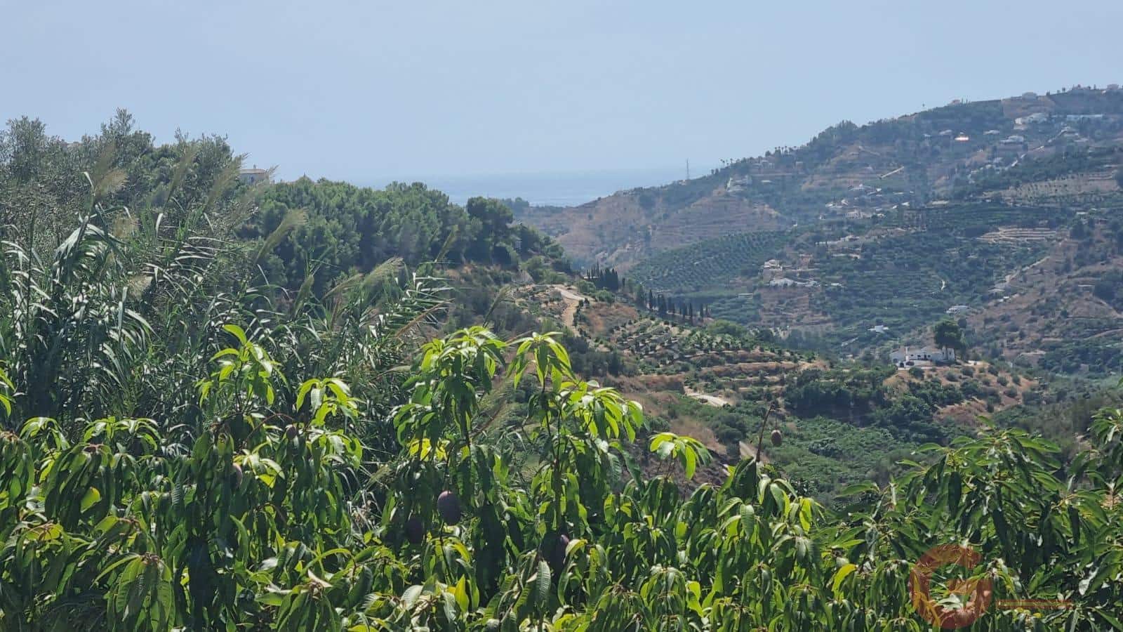 4 bedroom Villa for sale in Frigiliana with pool - € 420,000 (Ref: 9504139)