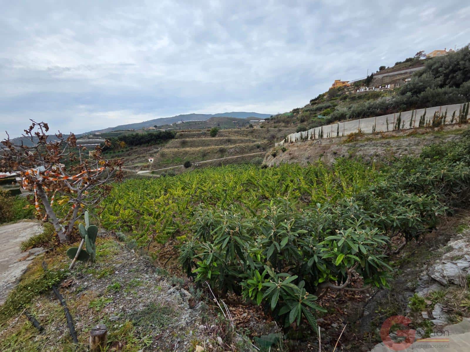 1 bedroom Finca/Country House for sale in Molvizar - € 239,000 (Ref: 9518018)