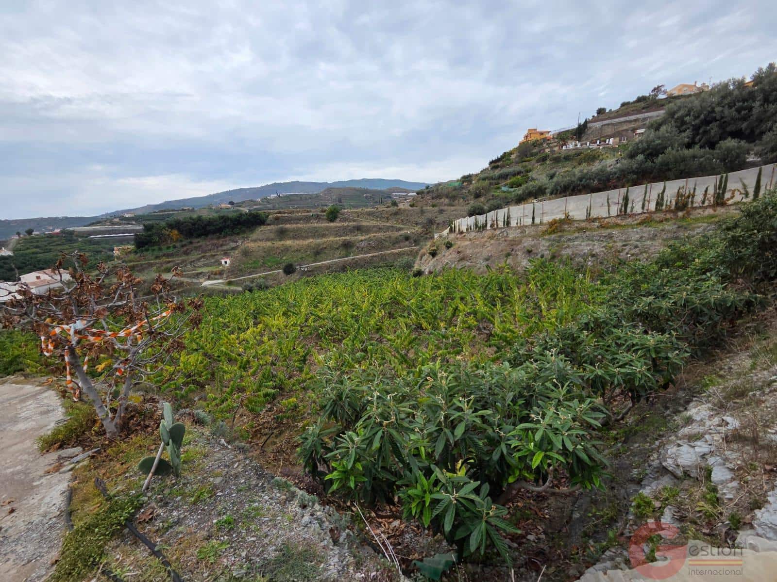 1 bedroom Finca/Country House for sale in Molvizar - € 239,000 (Ref: 9518018)