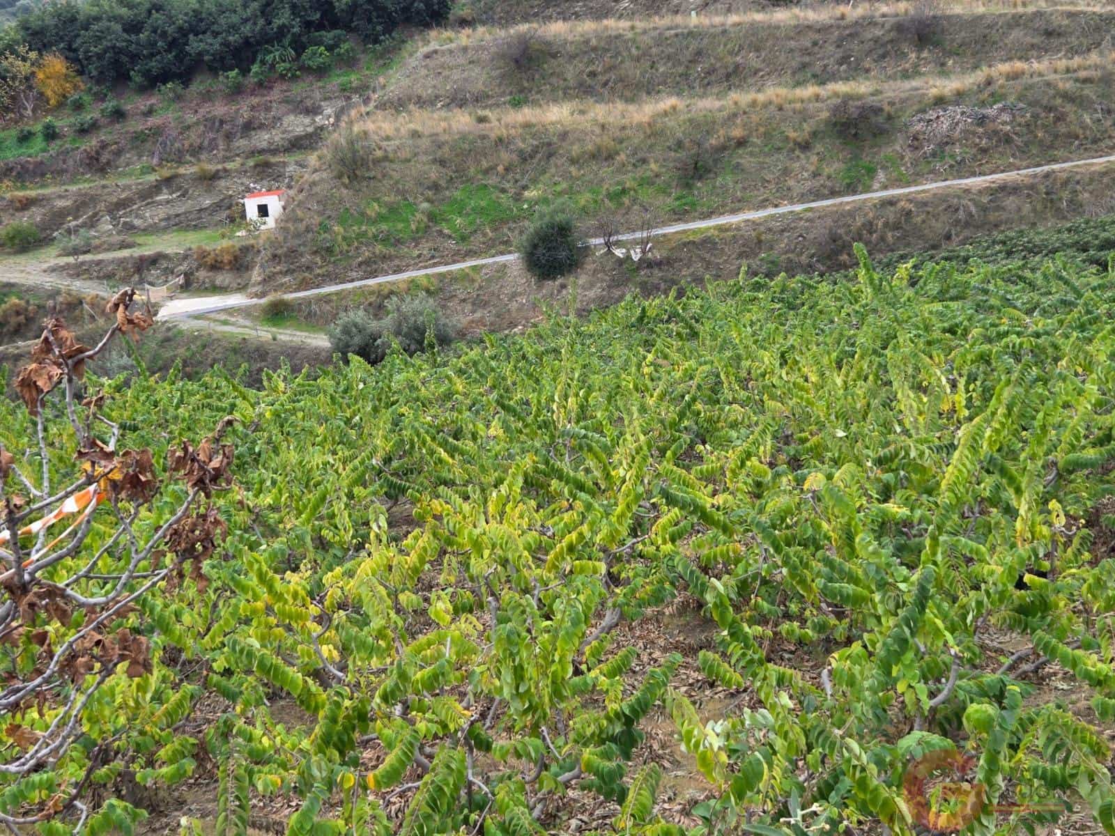 1 bedroom Finca/Country House for sale in Molvizar - € 239,000 (Ref: 9518018)