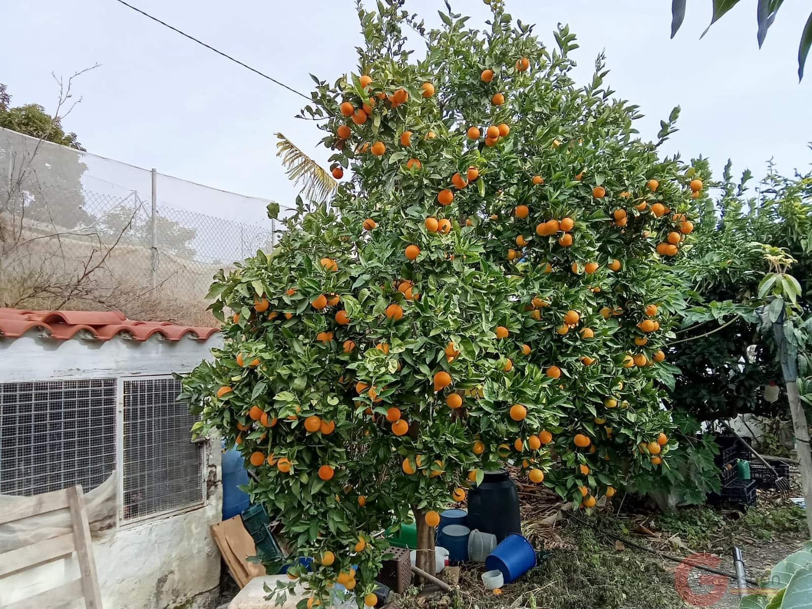 1 bedroom Finca/Country House for sale in Molvizar - € 239,000 (Ref: 9518018)