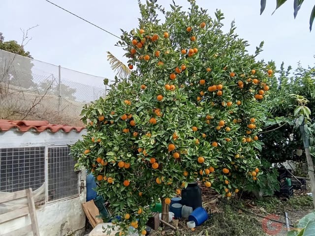 1 bedroom Finca/Country House for sale in Molvízar - € 239,000 (Ref: 9518018)