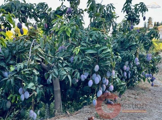 Terreno para Construção para venda em Salobreña - 250 000 € (Ref: 9518019)