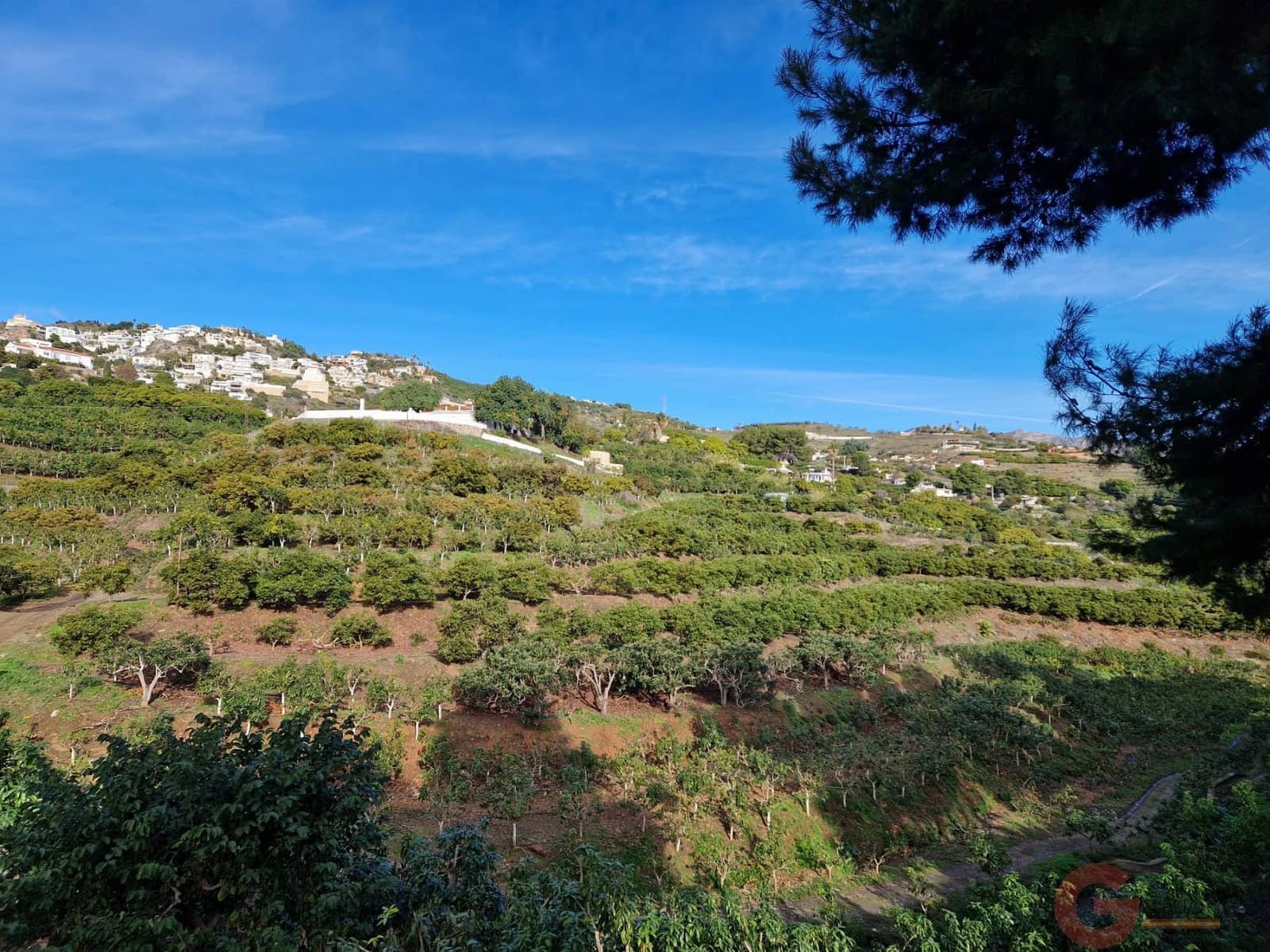 Terreno para Construção para venda em Salobrena - 250 000 € (Ref: 9518019)