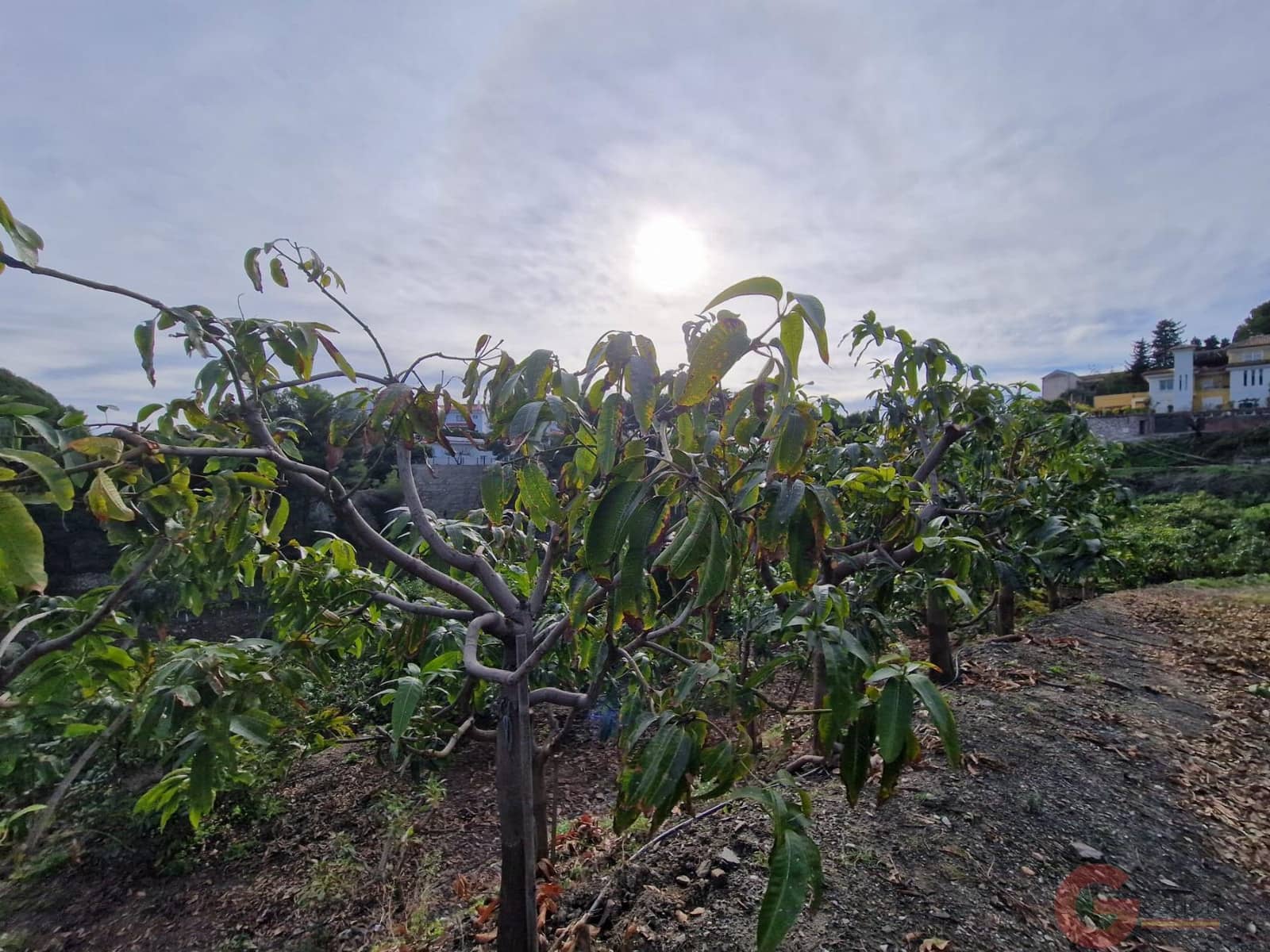 Terreno para Construção para venda em Salobrena - 250 000 € (Ref: 9518019)