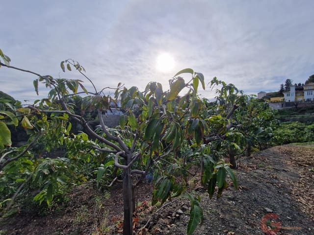 Terreno para Construção para venda em Salobreña - 250 000 € (Ref: 9518019)