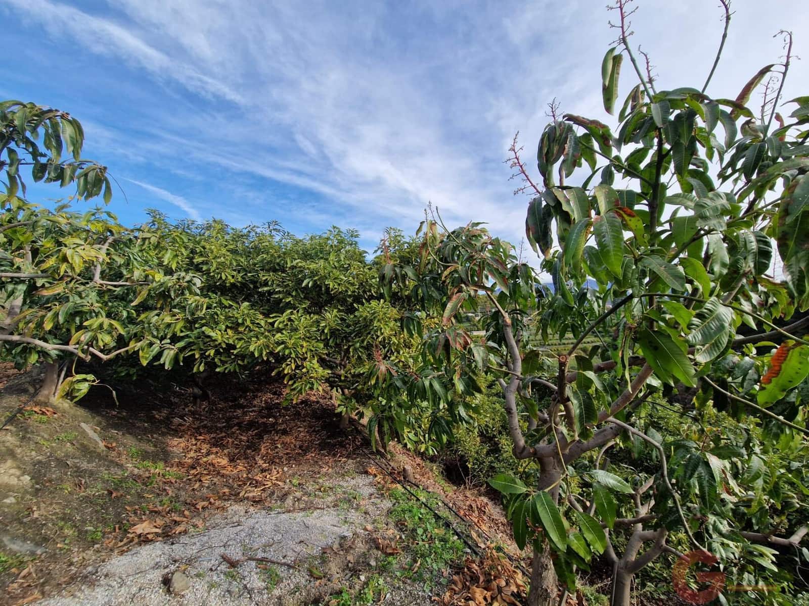 Terreno para Construção para venda em Salobrena - 250 000 € (Ref: 9518019)