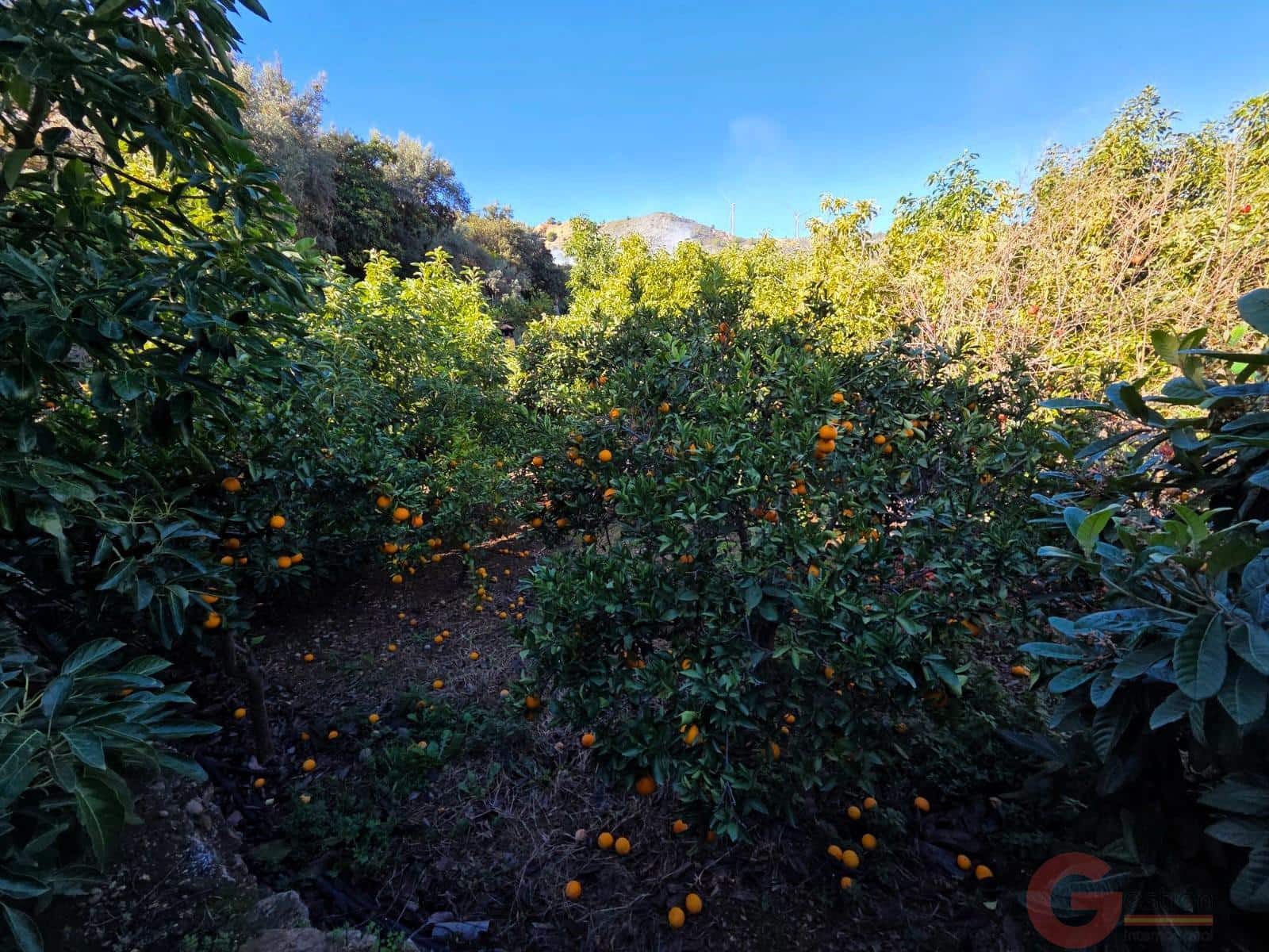 5 sovrum Villa till salu i Pinar - 126 000 € (Ref: 9519710)