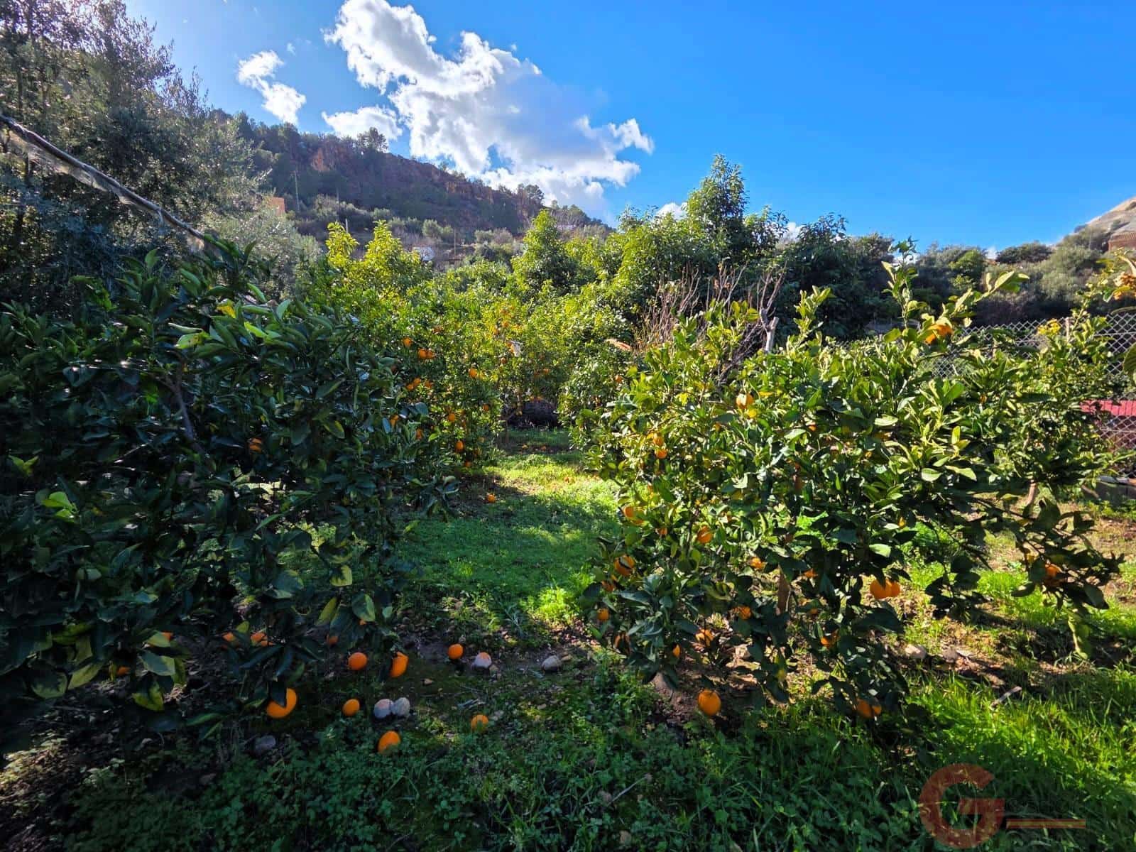 5 sovrum Villa till salu i Pinar - 126 000 € (Ref: 9519710)