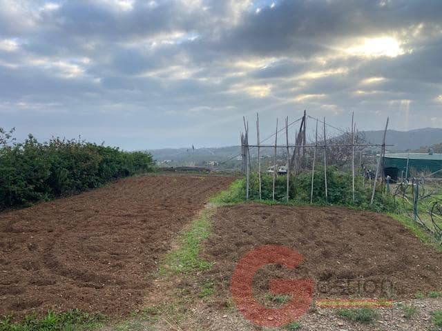 4 sypialnia Finka/Dom wiejski na sprzedaż w Almayate z basenem garażem - 460 000 € (Ref: 9554274)