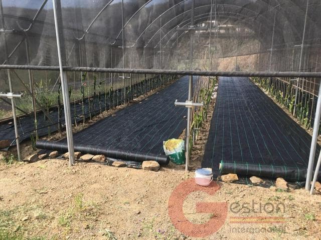 4 sypialnia Finka/Dom wiejski na sprzedaż w Almayate z basenem garażem - 460 000 € (Ref: 9554274)