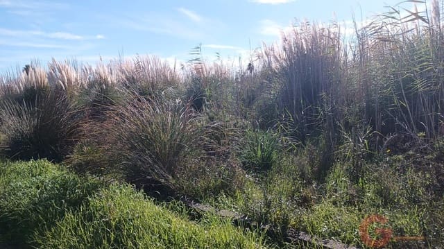 Byggetomt til salgs i Motril - € 66 000 (Ref: 9559901)