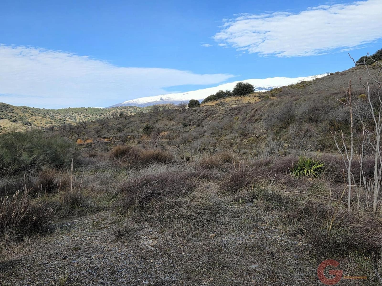 1 slaapkamer Finca/Landhuis te koop in Torvizcon met garage - € 127.500 (Ref: 9568794)