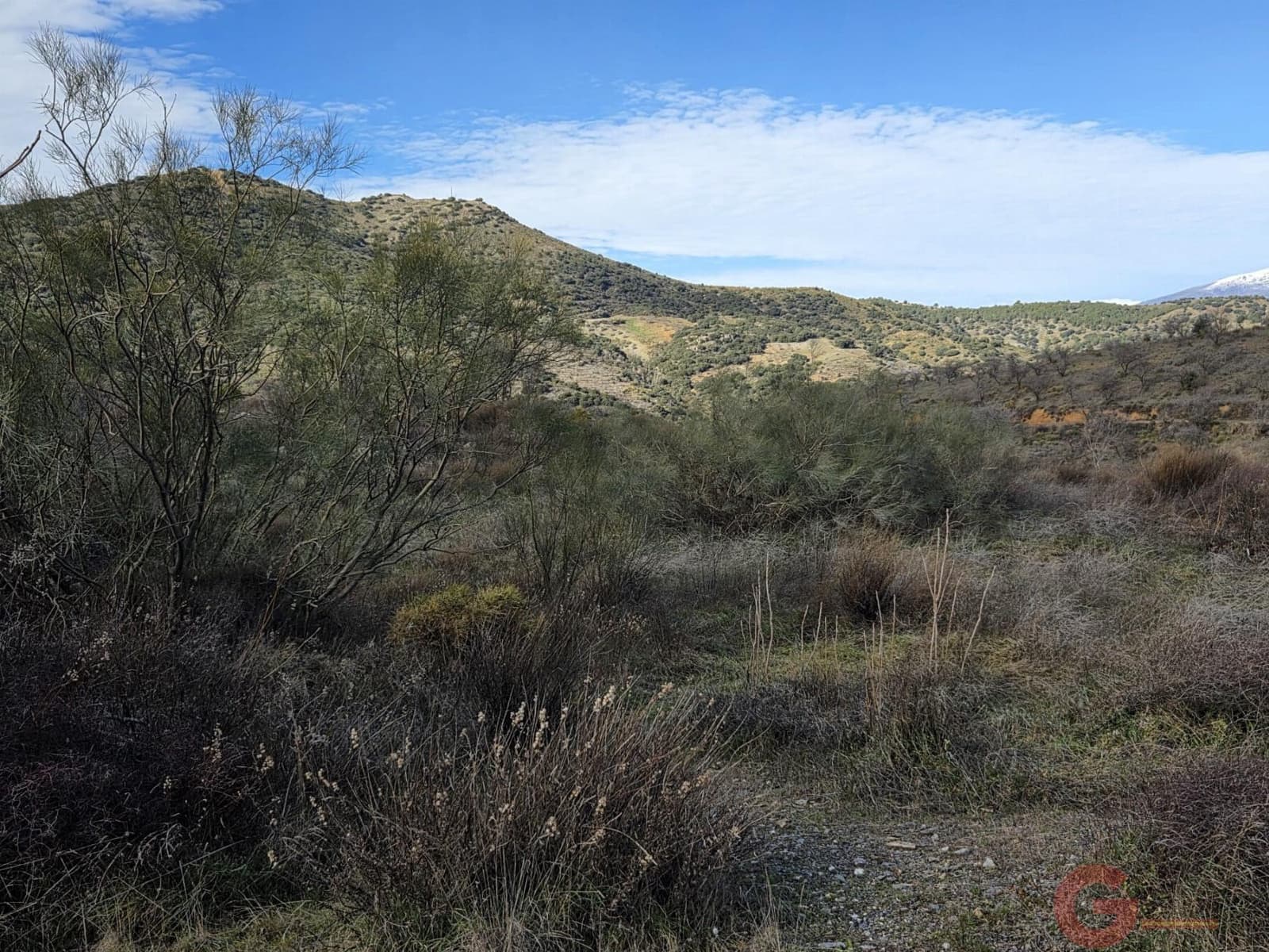 1 slaapkamer Finca/Landhuis te koop in Torvizcon met garage - € 127.500 (Ref: 9568794)