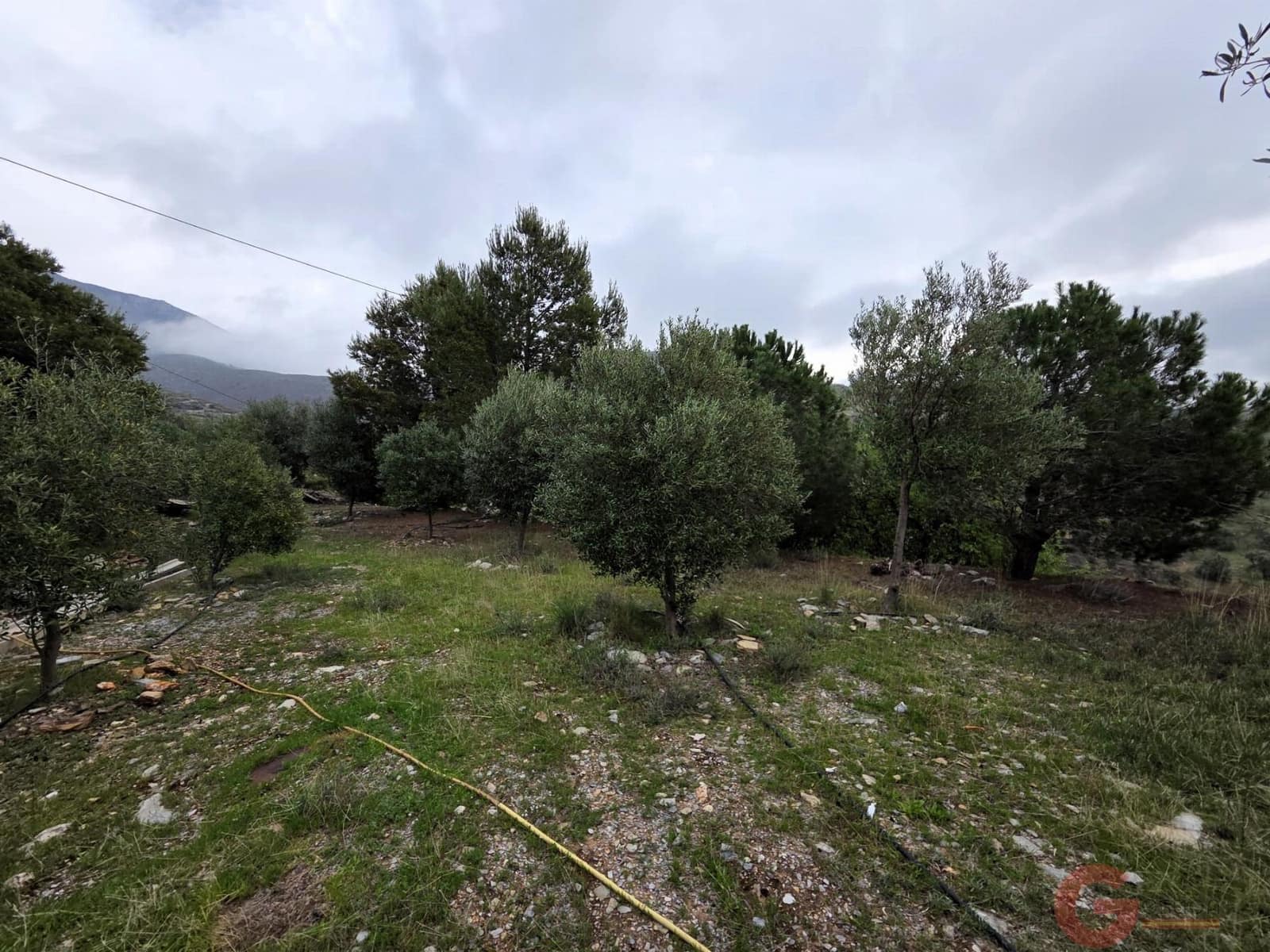 3 soveværelse Finca/Landehus til salg i Velez de Benaudalla - € 299.000 (Ref: 9646267)