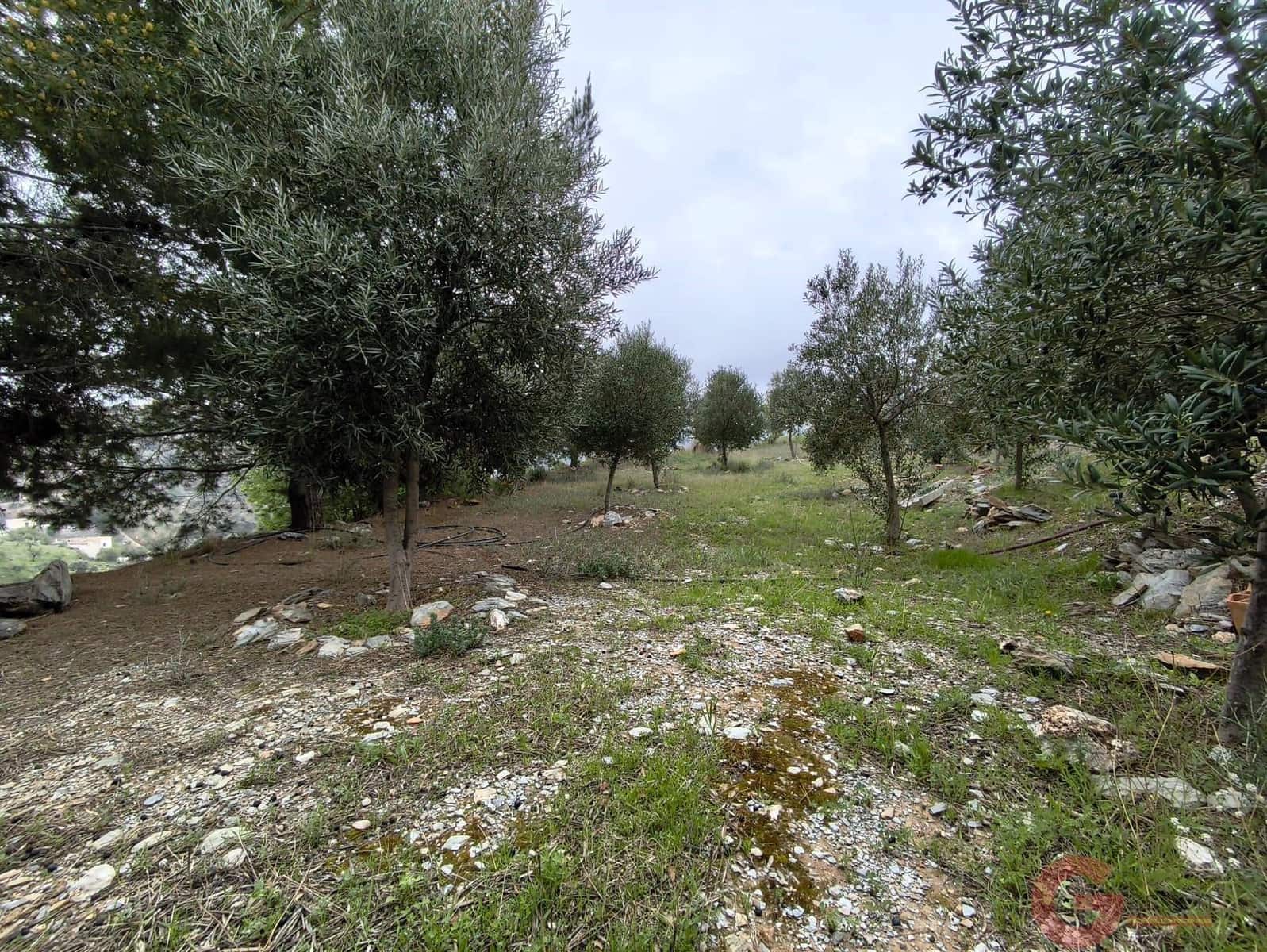 3 soveværelse Finca/Landehus til salg i Velez de Benaudalla - € 299.000 (Ref: 9646267)