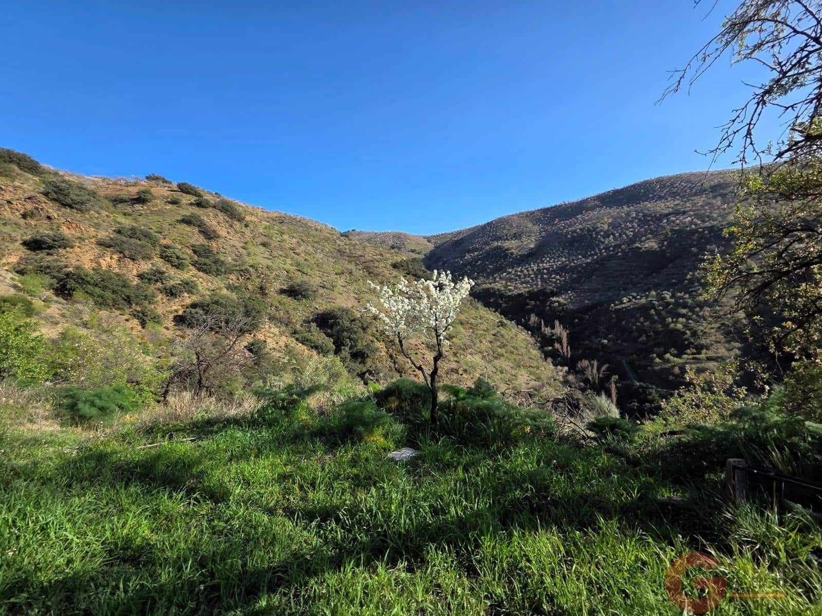 Finca/Maison de Campagne à vendre à Torvizcon - 106 000 € (Ref: 9677583)