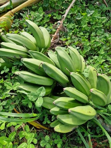 1 chambre Finca/Maison de Campagne à vendre à Salobreña - 199 000 € (Ref: 9730263)