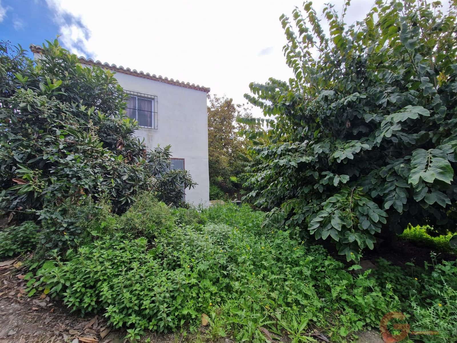 1 bedroom Finca/Country House for sale in Salobrena - € 199,000 (Ref: 9730263)