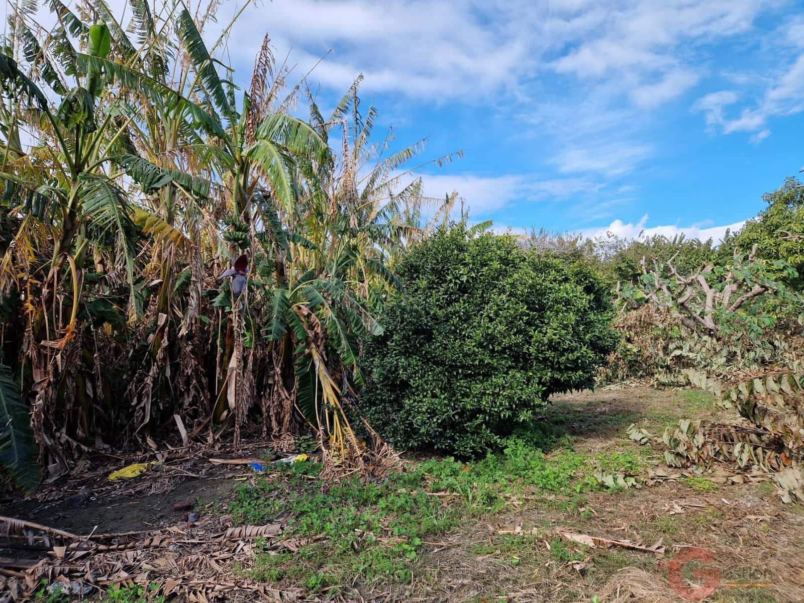 1 bedroom Finca/Country House for sale in Salobrena - € 199,000 (Ref: 9730263)