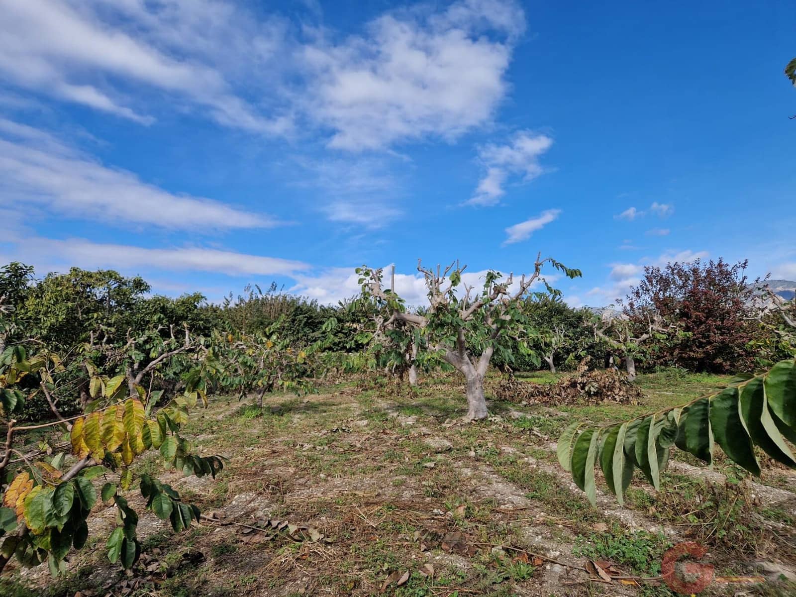 1 bedroom Finca/Country House for sale in Salobrena - € 199,000 (Ref: 9730263)