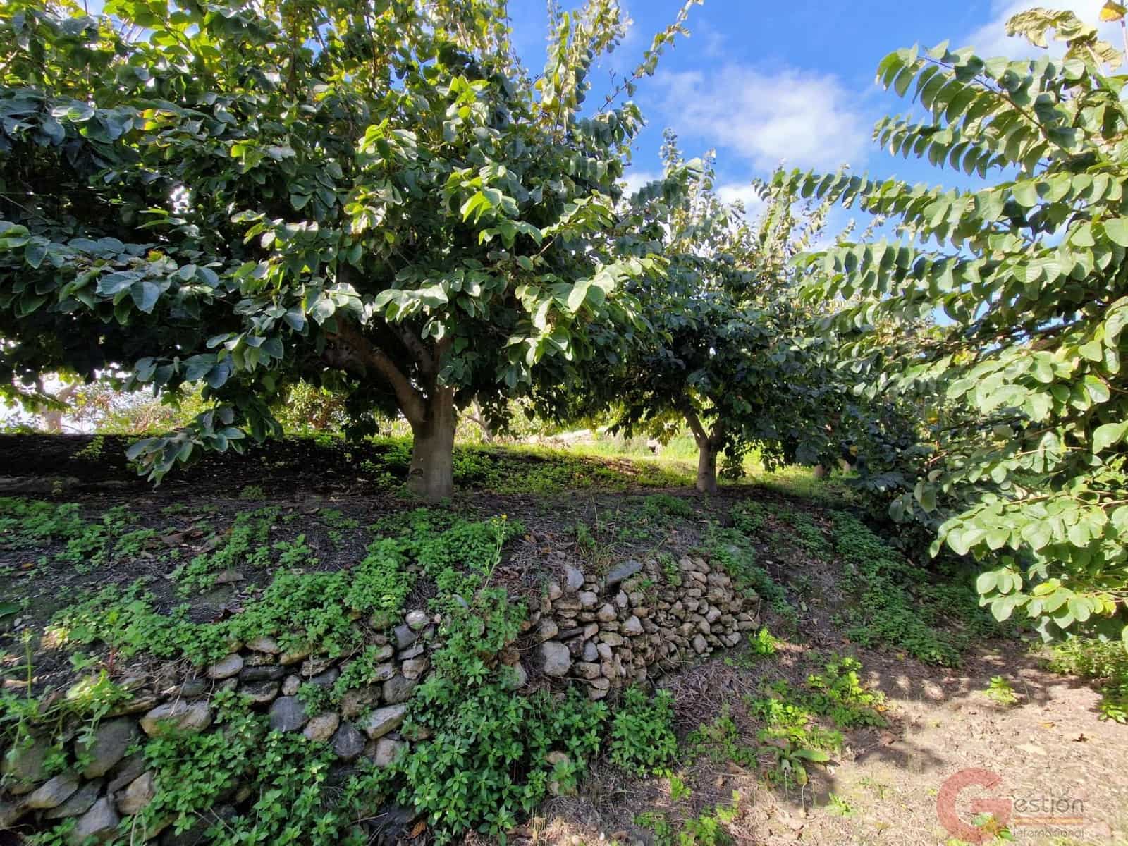 1 bedroom Finca/Country House for sale in Salobrena - € 199,000 (Ref: 9730263)