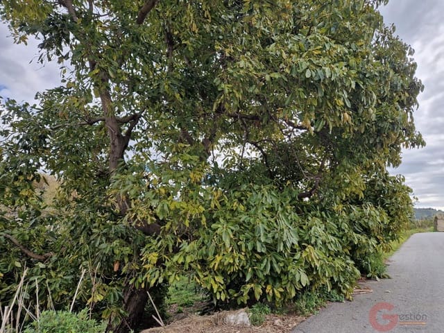 1 chambre Finca/Maison de Campagne à vendre à Salobreña - 199 000 € (Ref: 9730263)