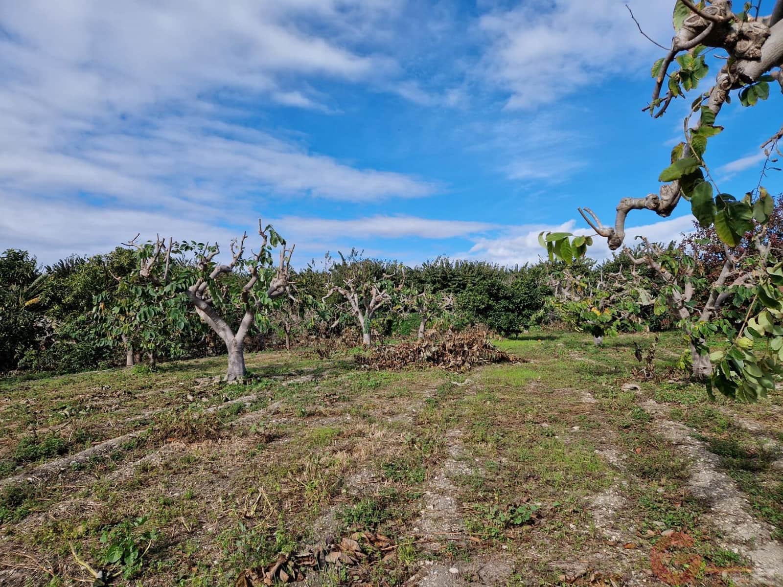 1 bedroom Finca/Country House for sale in Salobrena - € 199,000 (Ref: 9730263)