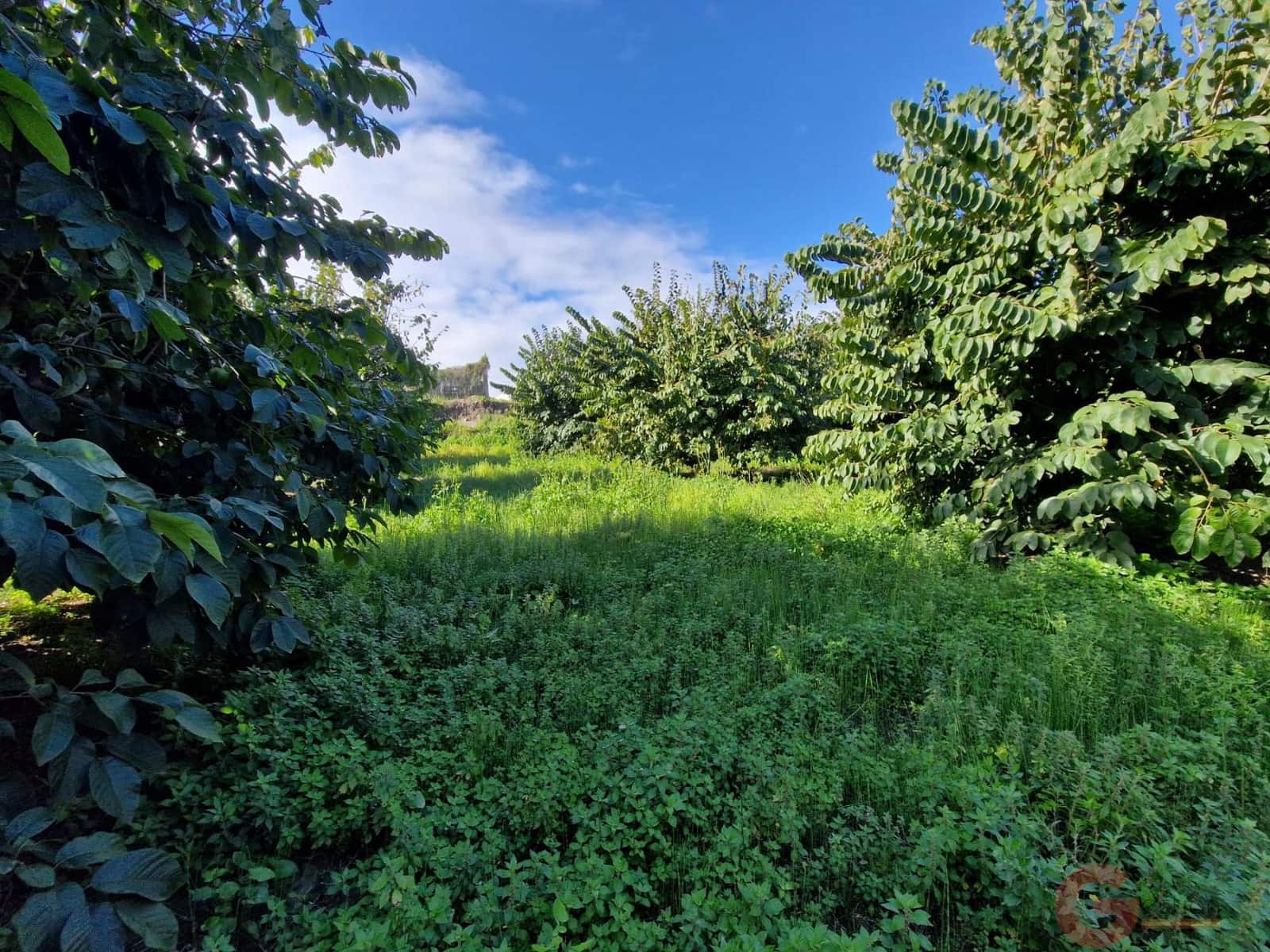 1 bedroom Finca/Country House for sale in Salobrena - € 199,000 (Ref: 9730263)