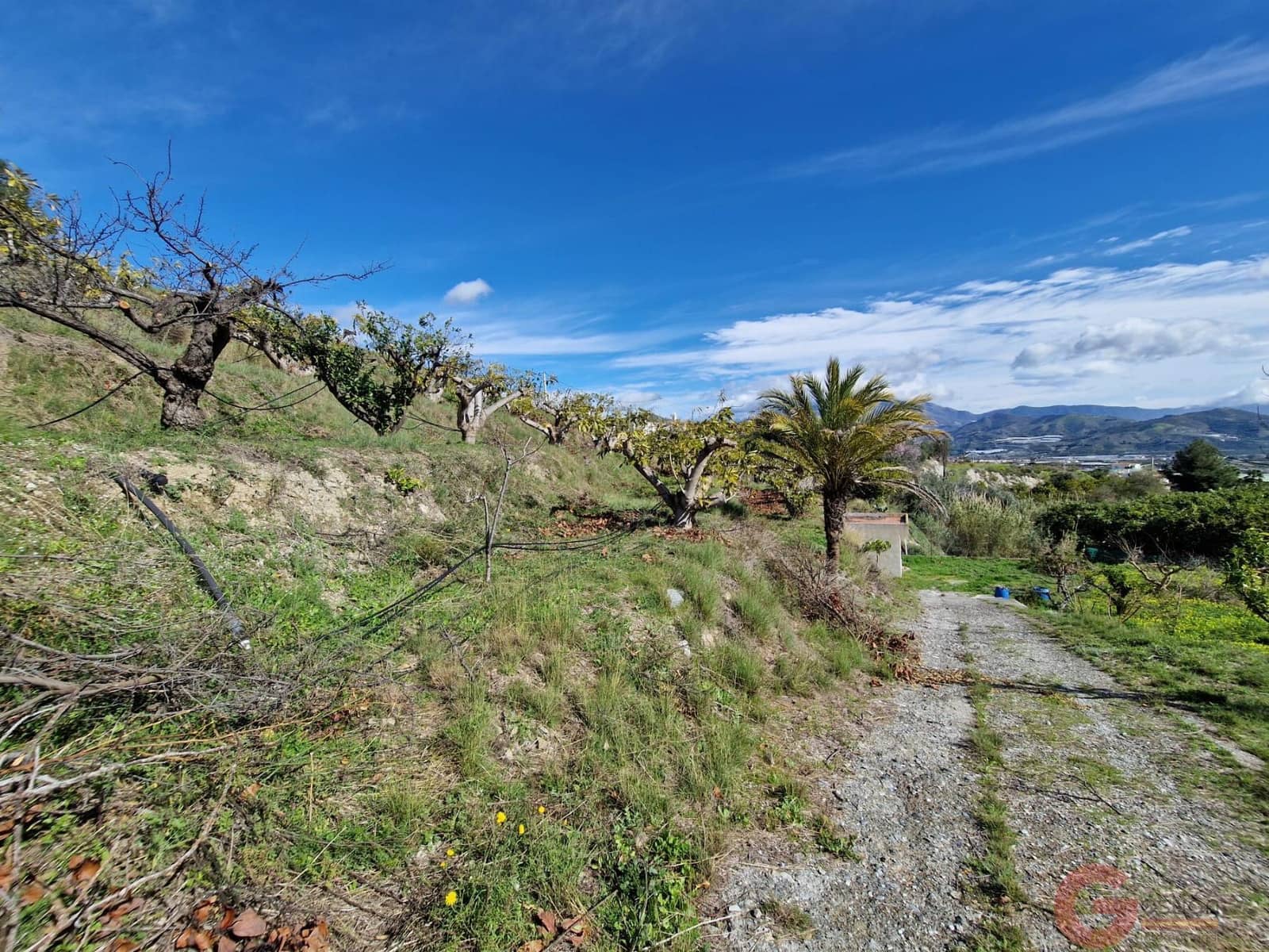 1 camera da letto Finca/Casa di Campagna in vendita in Salobrena - 138.000 € (Rif: 9737315)