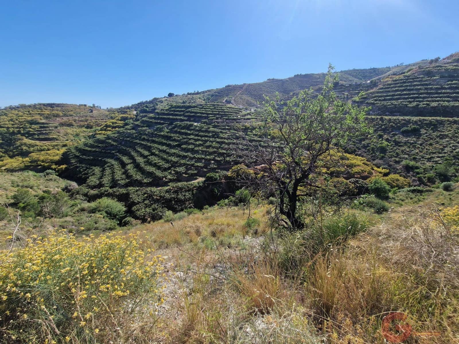 Terreno para Construção para venda em Salobrena - 46 000 € (Ref: 9784979)