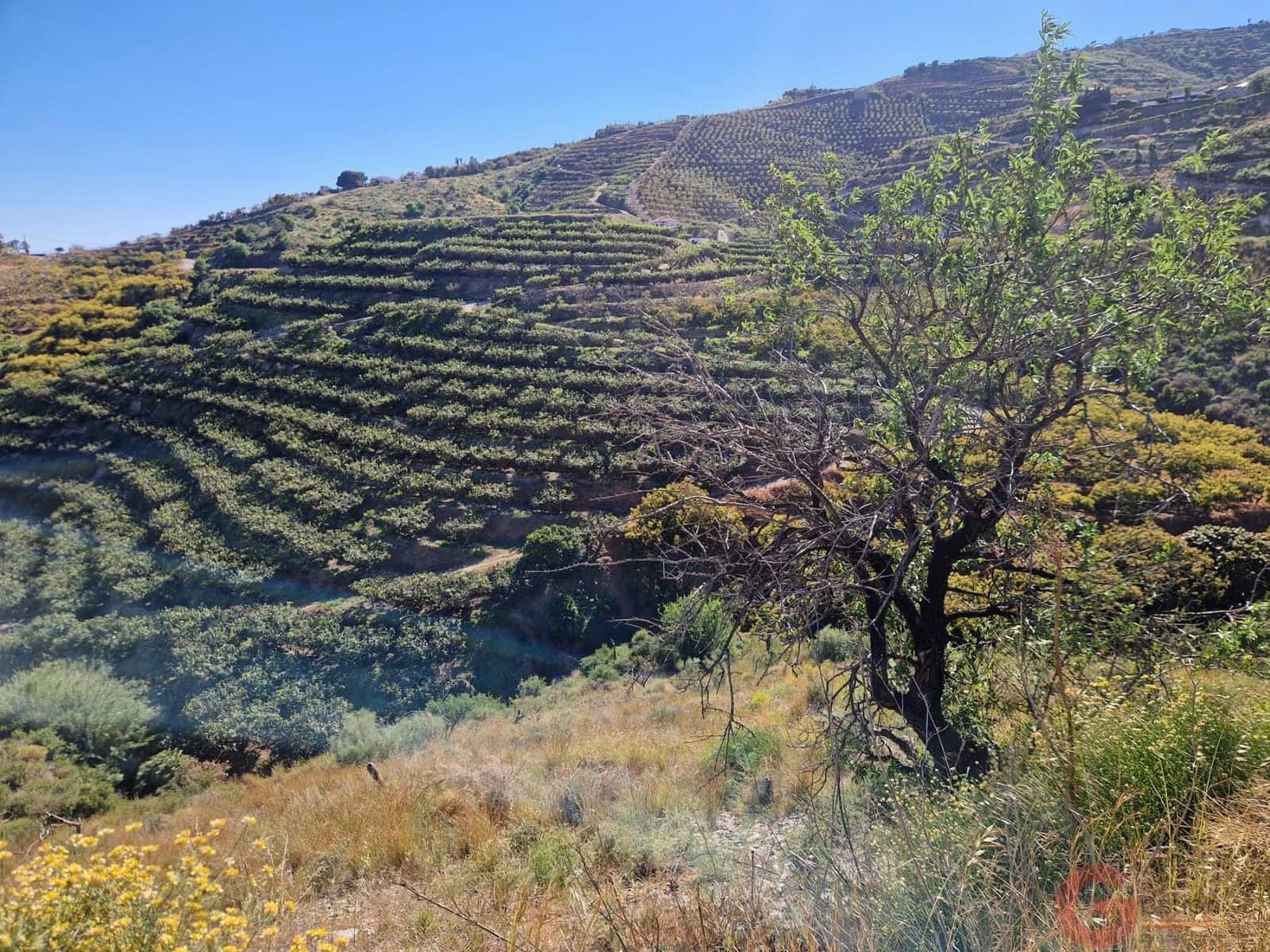 Terreno para Construção para venda em Salobrena - 46 000 € (Ref: 9784979)