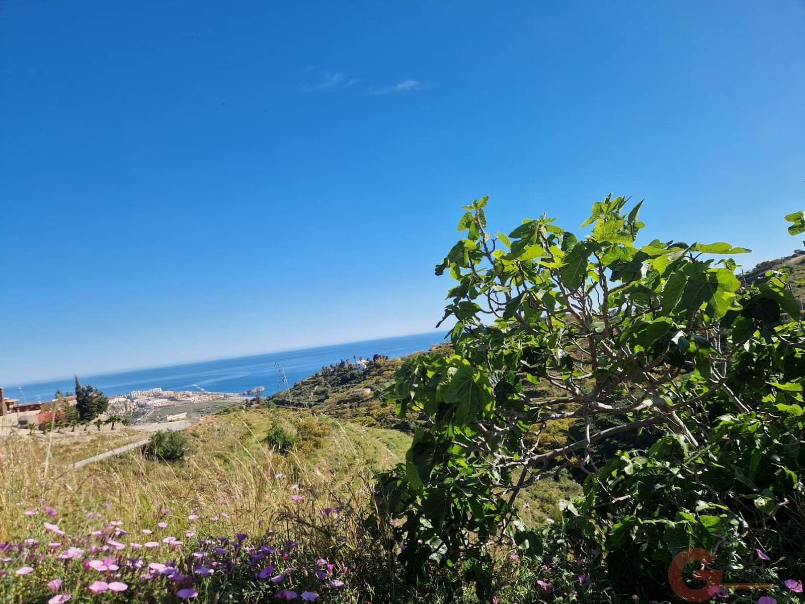 Terreno para Construção para venda em Salobrena - 46 000 € (Ref: 9784979)