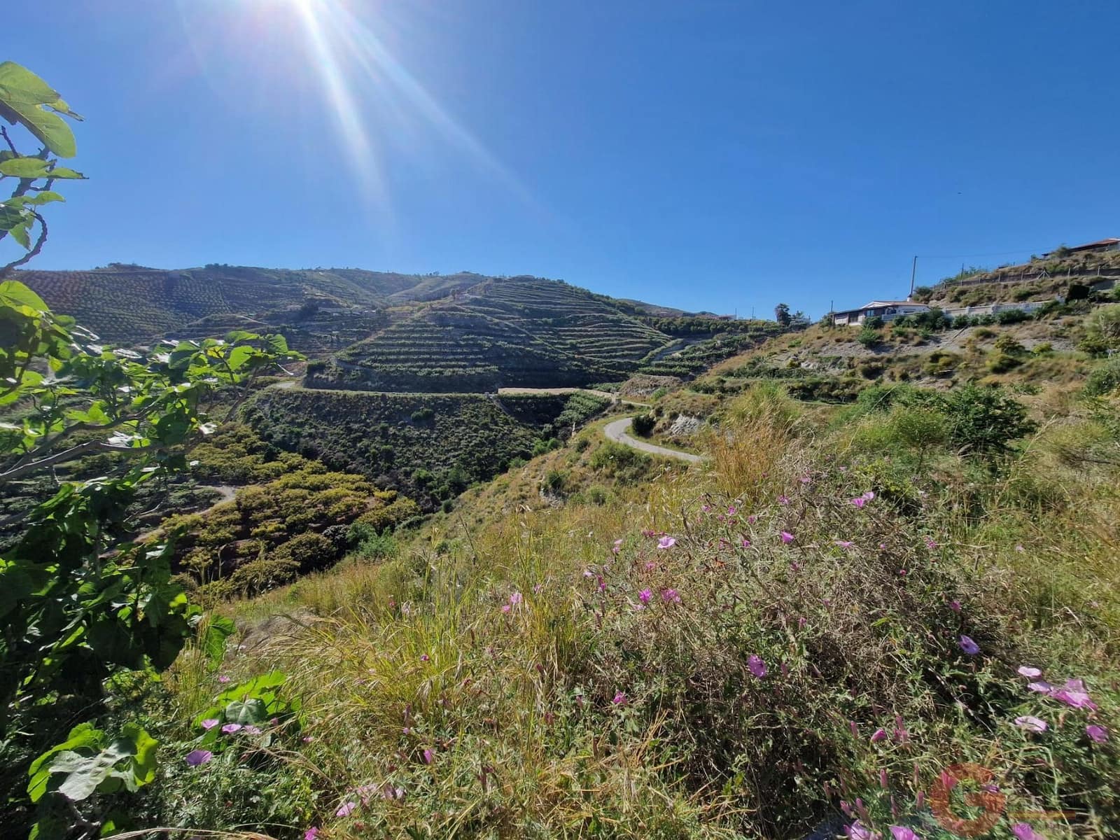 Terreno para Construção para venda em Salobrena - 46 000 € (Ref: 9784979)