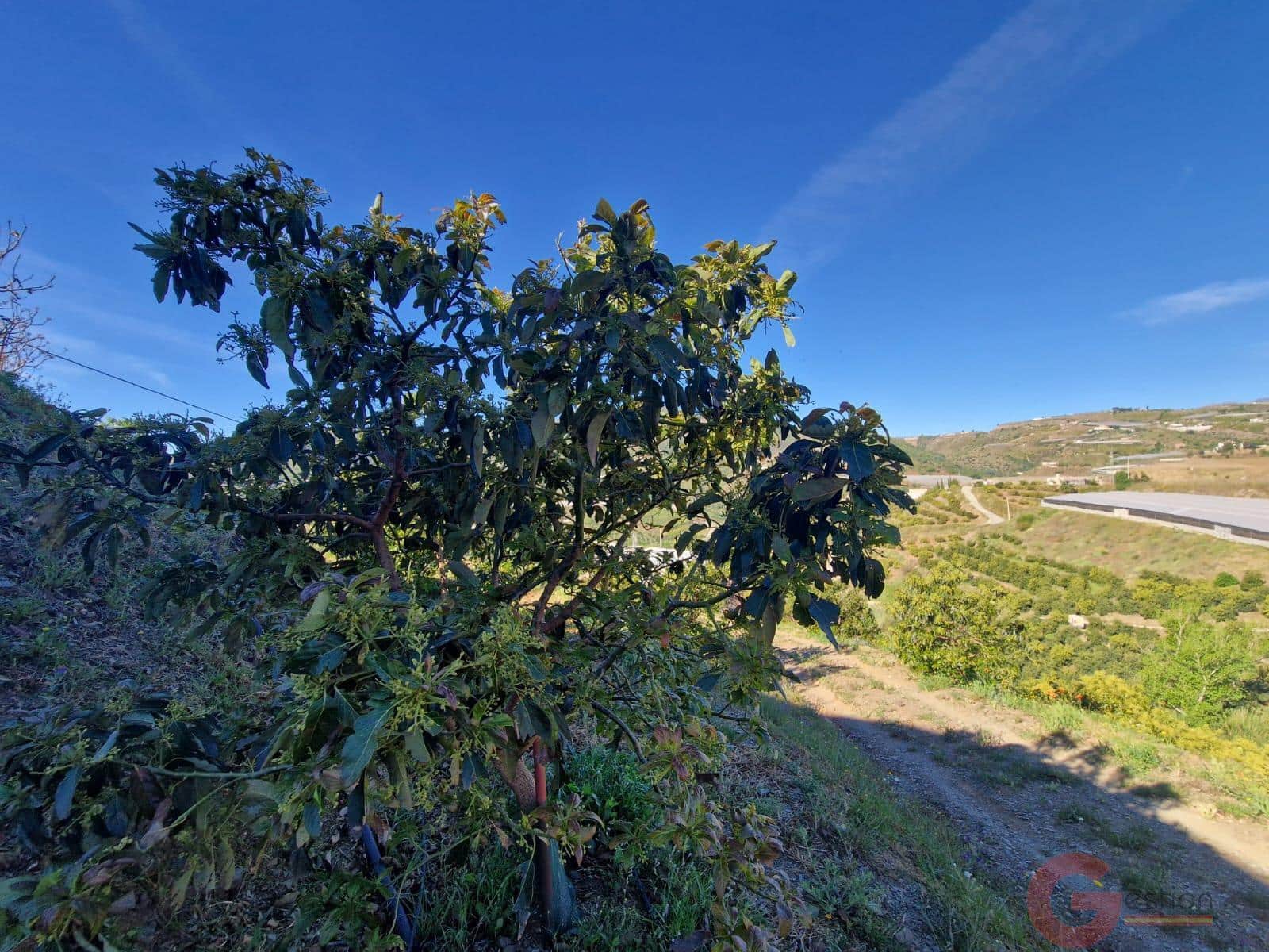 Terrain à Bâtir à vendre à Itrabo - 125 000 € (Ref: 9793683)